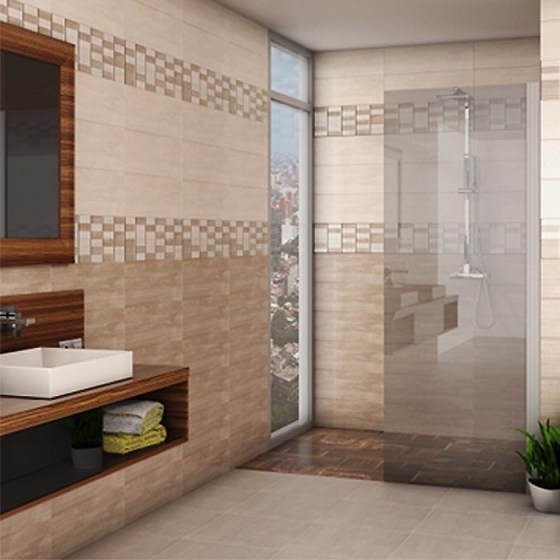 IMPORTILES LYON 20x60